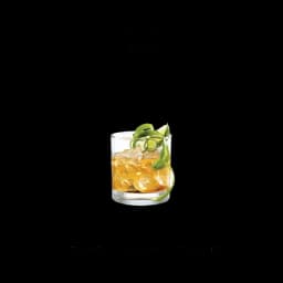 Vaso rocas (310 ml)