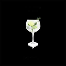 Copa ballon (ginebra) (690 ml)