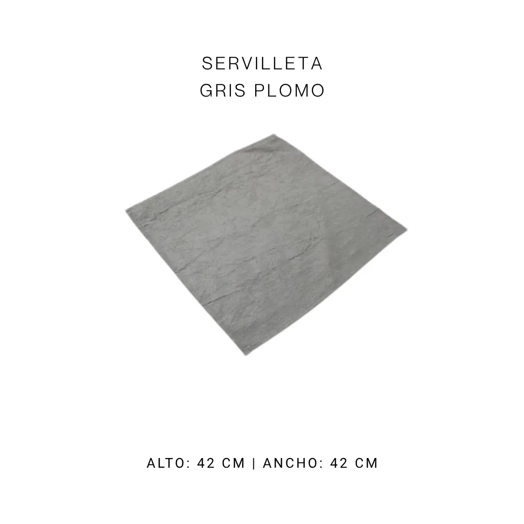 Servilleta gris — alquiler en Bogotá